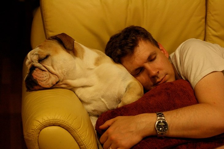 Por Qué Te Despiertas Por Las Noches, hombre y su perro durmiendo