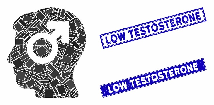 Alimentos Que Reducen Los Niveles De Testosterona
