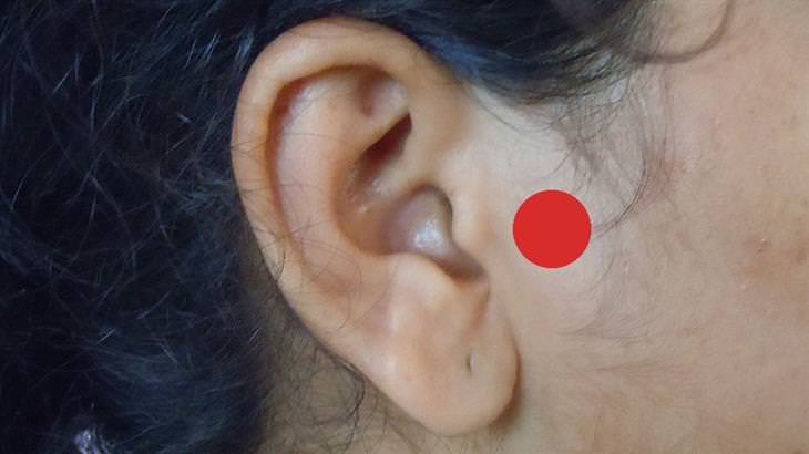Acupresión Para Controlar El Apetito, Punto de presión en el oído