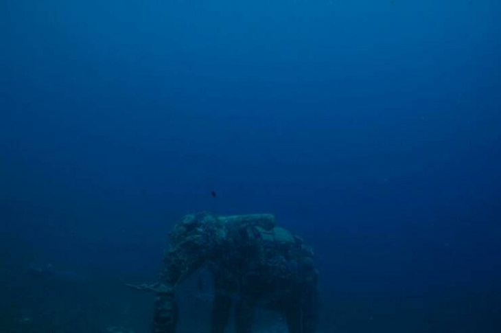 Estatua de elefante sumergida. Dahab, Egipto