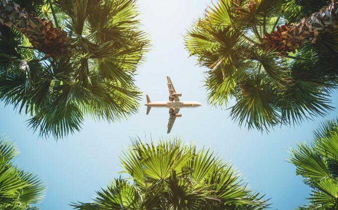 Qué fenómeno natural refleja quién eres: un avión sobre los árboles