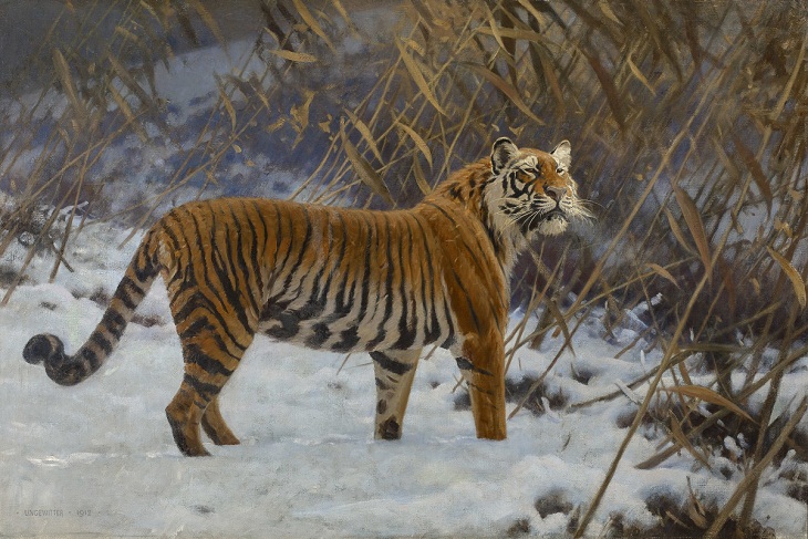 “Un tigre merodeando en la nieve” (1912) de Hugo Ungewitter