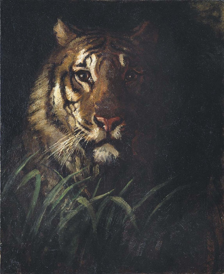 “Cabeza de tigre” (1874) de Abbott Handerson Thayer