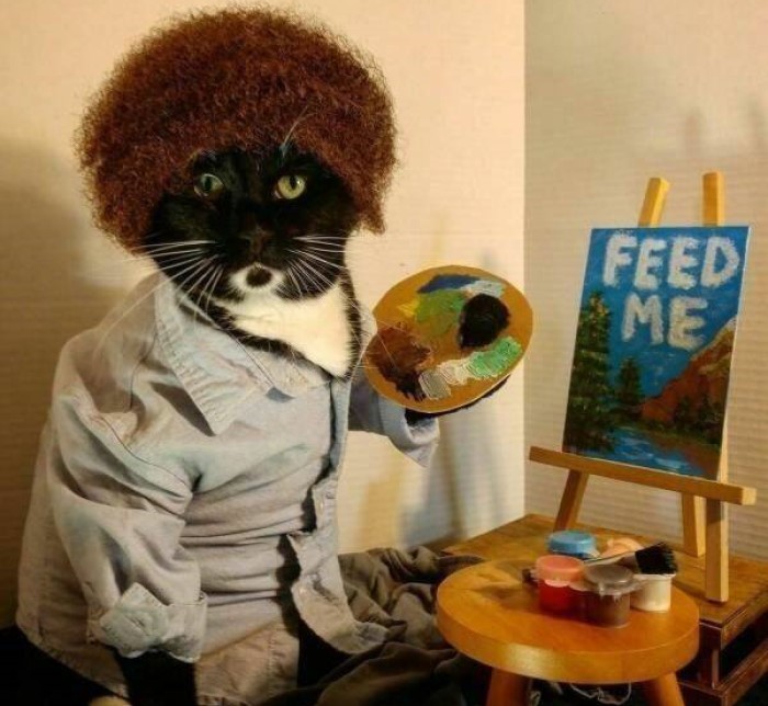 animais engraçados, , gato pintando