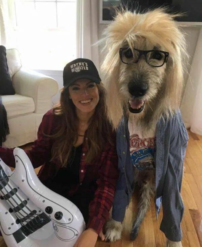 animais engraçados,  cão e guitarra