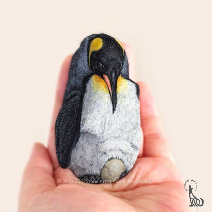 Pinturas De Animales En Piedras, Pingüino