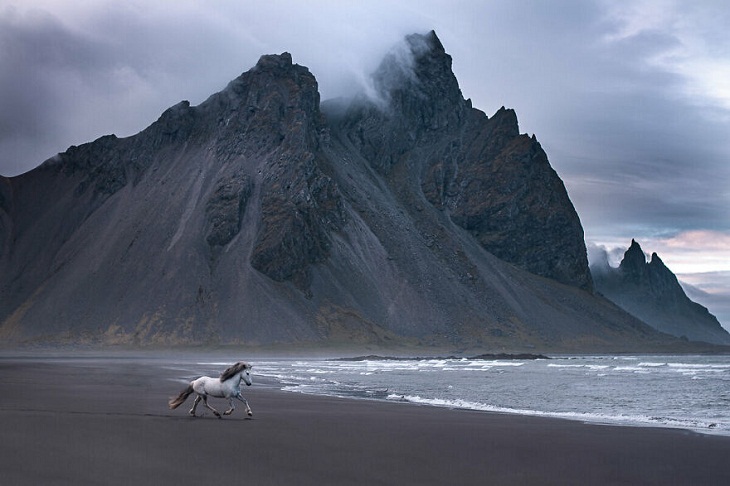 Caballos Islandeses, montaña