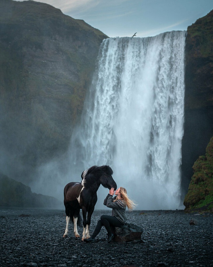 Caballos Islandeses, mujer y caballo