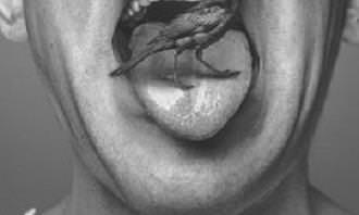 lengua humana con pájaro en ella