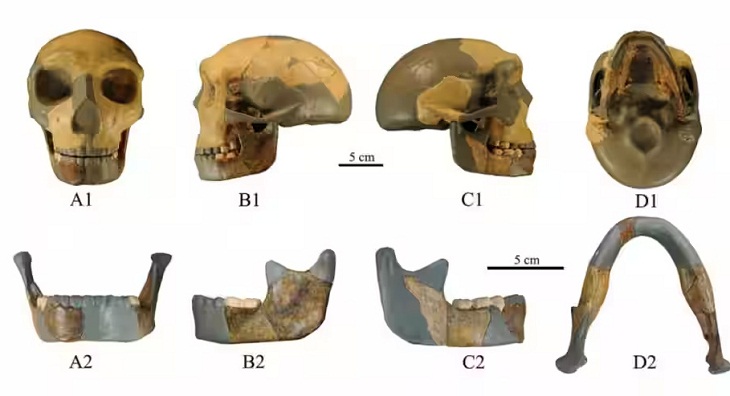 Cráneo Antiguo Descubierto En China