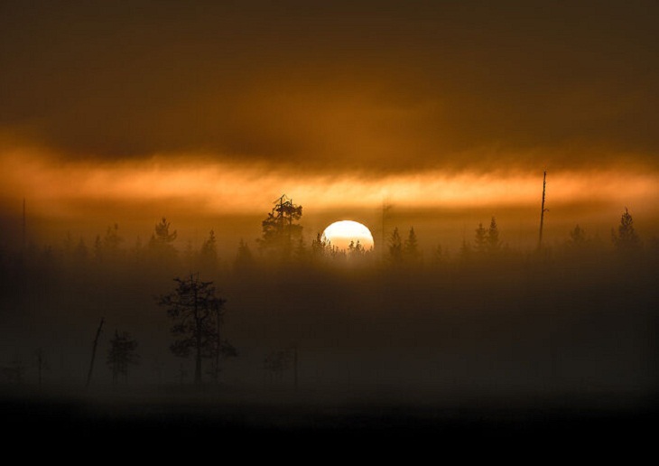 Naturaleza De Finlandia, amanecer brumoso