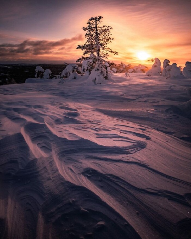 Naturaleza De Finlandia, nieve
