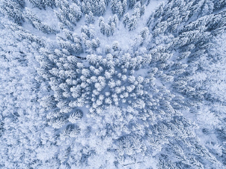 Naturaleza De Finlandia, bosque de invierno