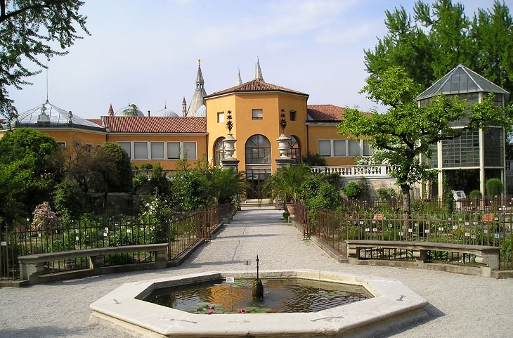 Orto Botánico de Padua, Italia