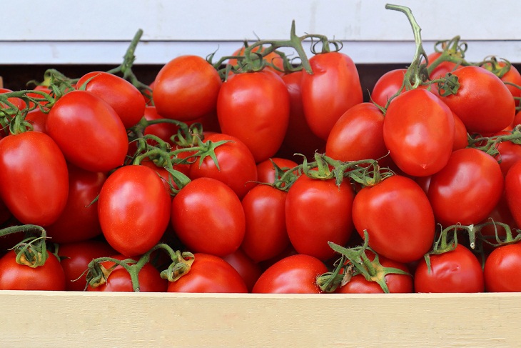 Variedades De Tomates, tomates ciruela