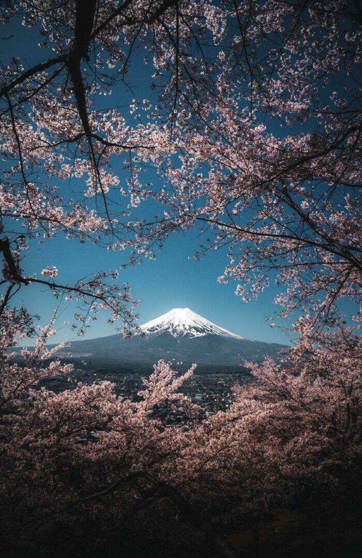 Asombrosas Fotos De La Naturaleza, Fuji, Japón