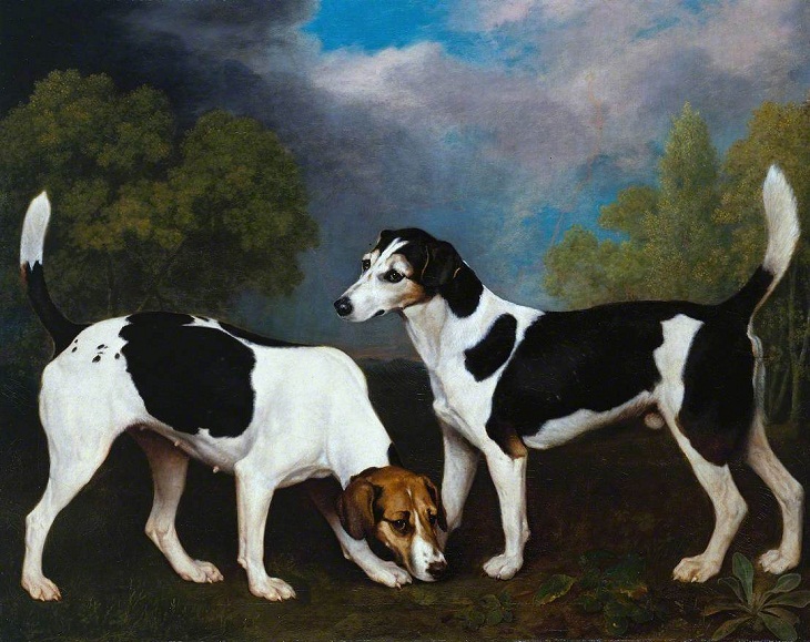 Pinturas De Perros Famosas, Una pareja de raposeros de George Stubbs, 1792