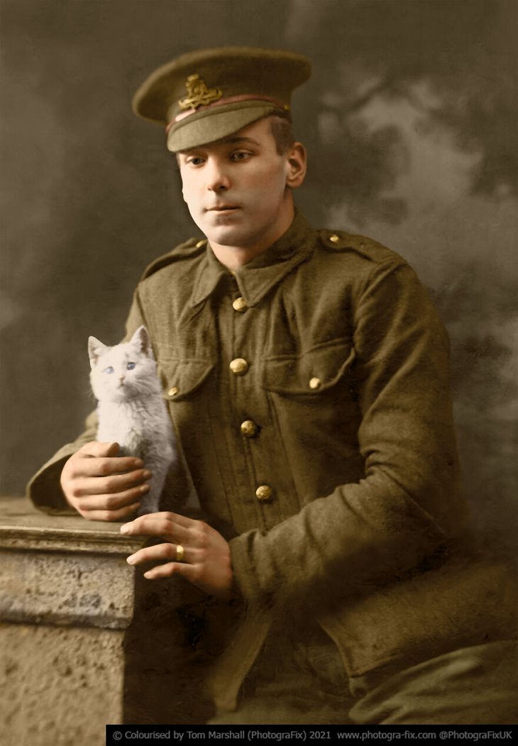 Animales En La Guerra, soldado y su gato