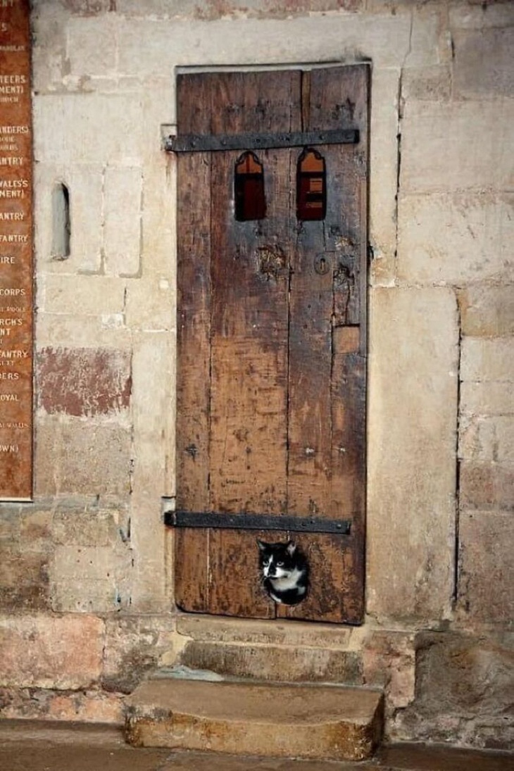 Puerta del siglo XIV
