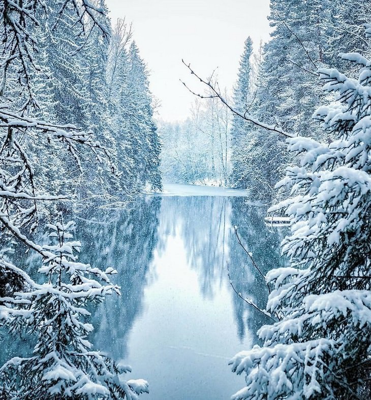 Animales De Finlandia, lago congelado