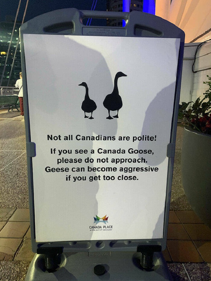 Solo En Canadá