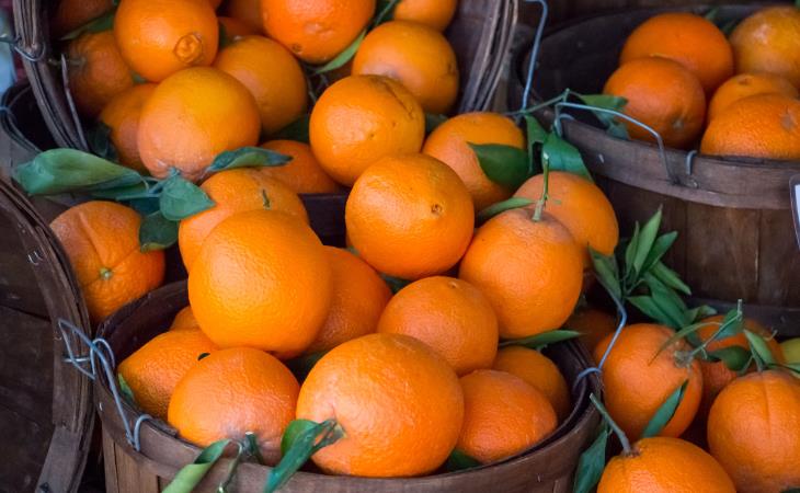 Variedades De Naranjas