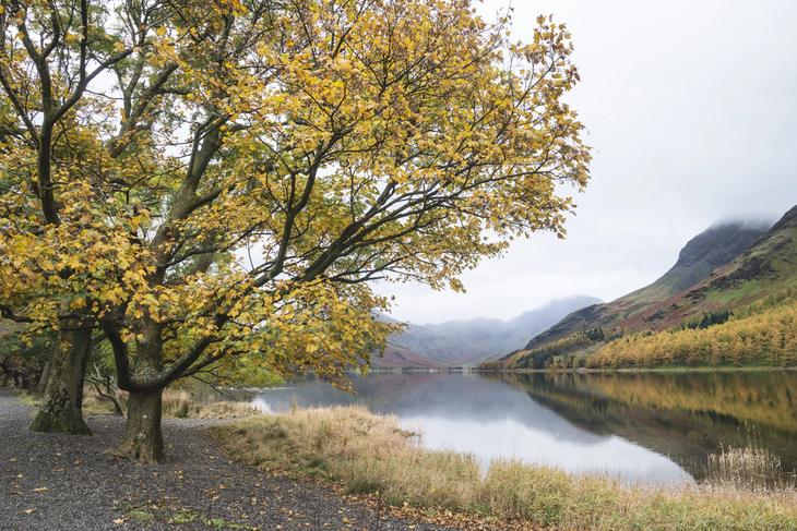 Lugares Perfectos Para Disfrutar El Otoño