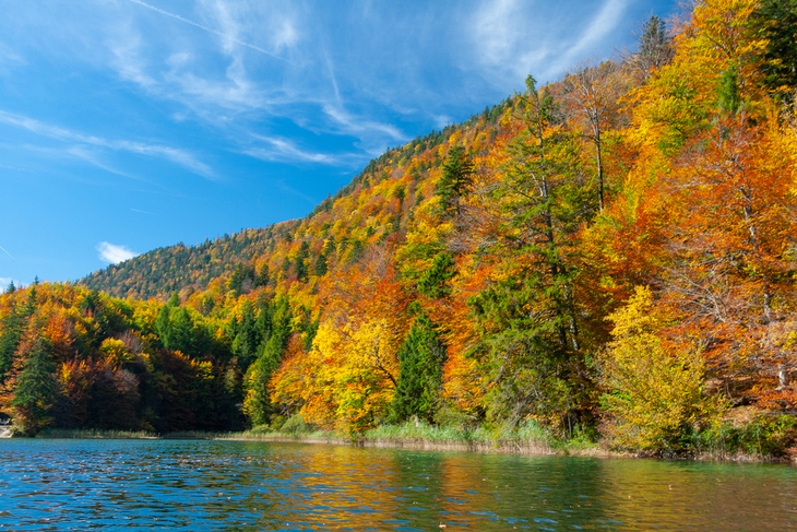 Lugares Perfectos Para Disfrutar El Otoño