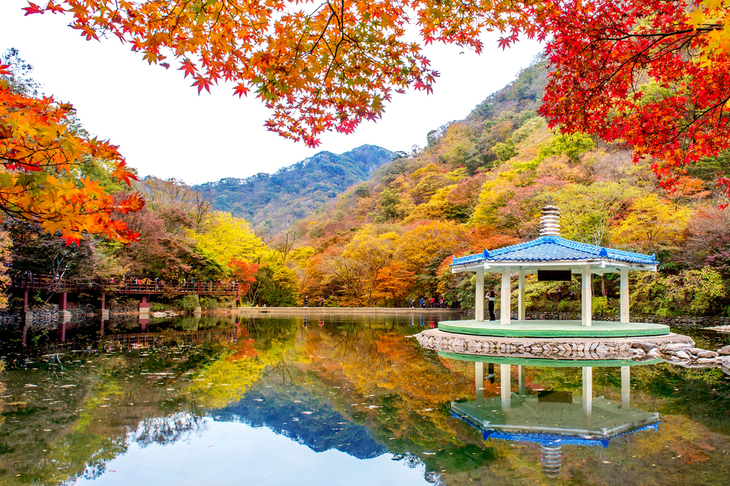 Lugares Perfectos Para Disfrutar El Otoño