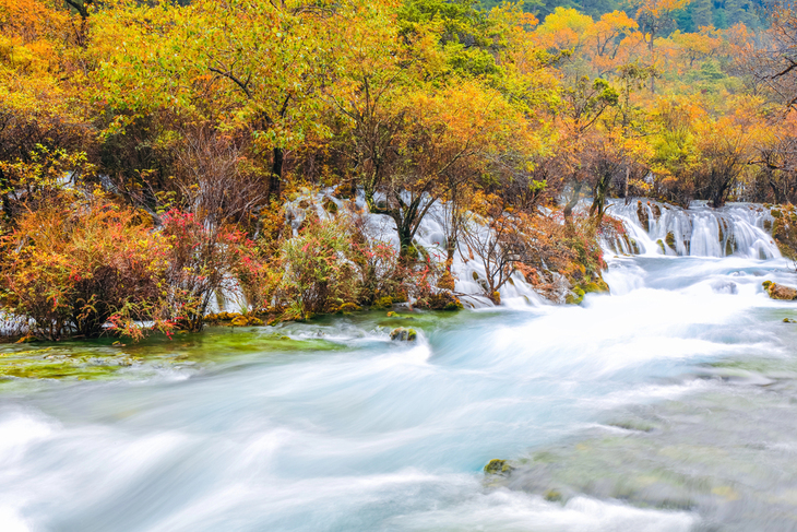 Lugares Perfectos Para Disfrutar El Otoño