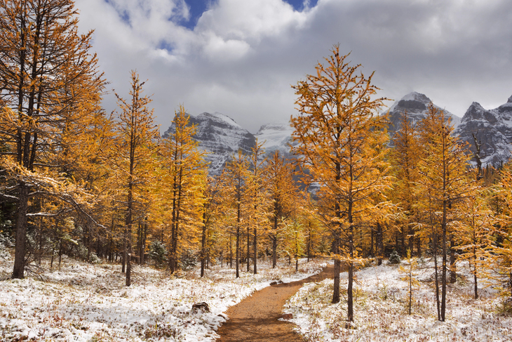 Lugares Perfectos Para Disfrutar El Otoño