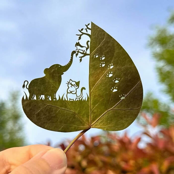 Arte En Hojas