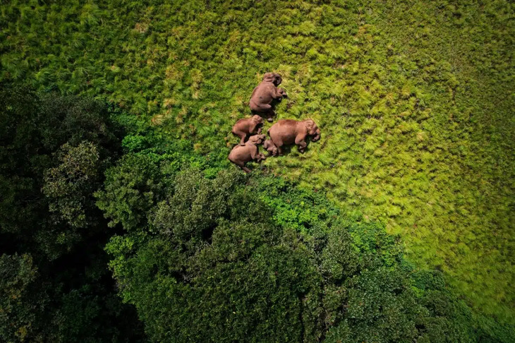 Prêmio de Fotografia com Drones 2024