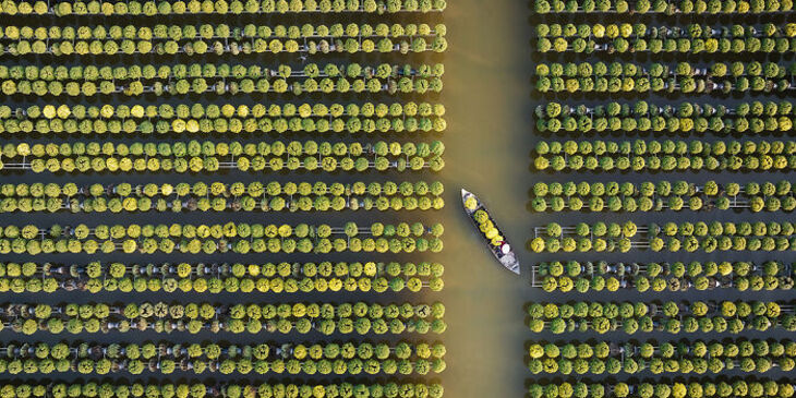 Premios Internacionales de la Fotografía Panorámica de Epson 2024