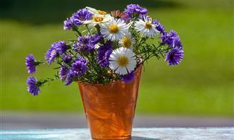 Prueba de flores y romance: flores en un jarrón