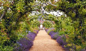 Una prueba de flores y romance: un túnel de plantas en un jardín botánico