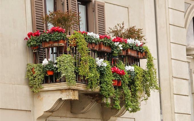 Una prueba de flores y romance: una jardinera en una ventana