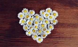Prueba de flores y romance: flores blancas en forma de corazón