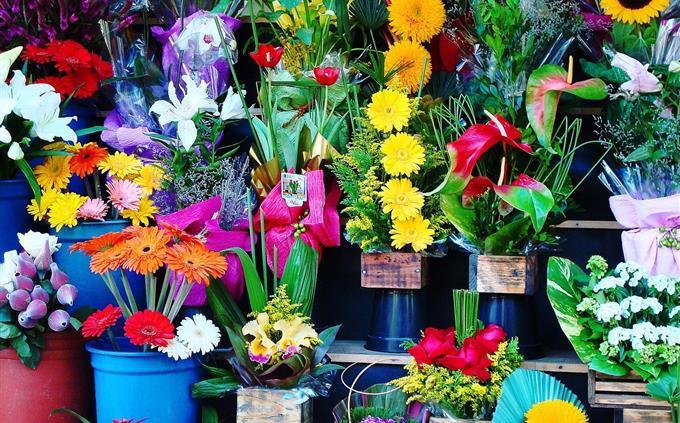 Prueba de flores y romance: florería