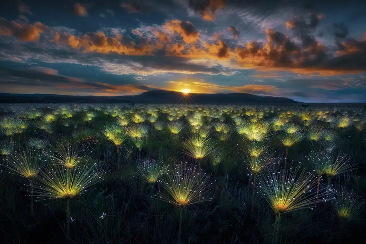 Premios internacionales a la mejor fotografía de la naturaleza del 2024