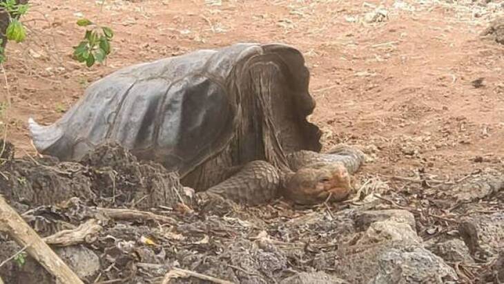 Fotos Raras De La Naturaleza