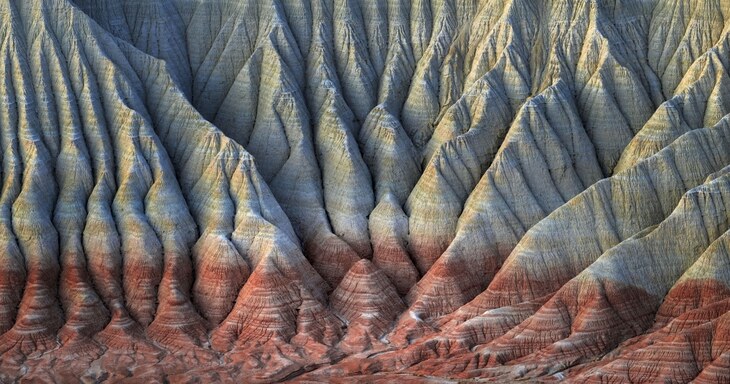 Fotógrafo De Paisajes Del Año 2024