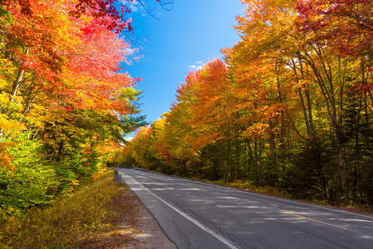 Recorridos Panorámicos En Los Estados Unidos