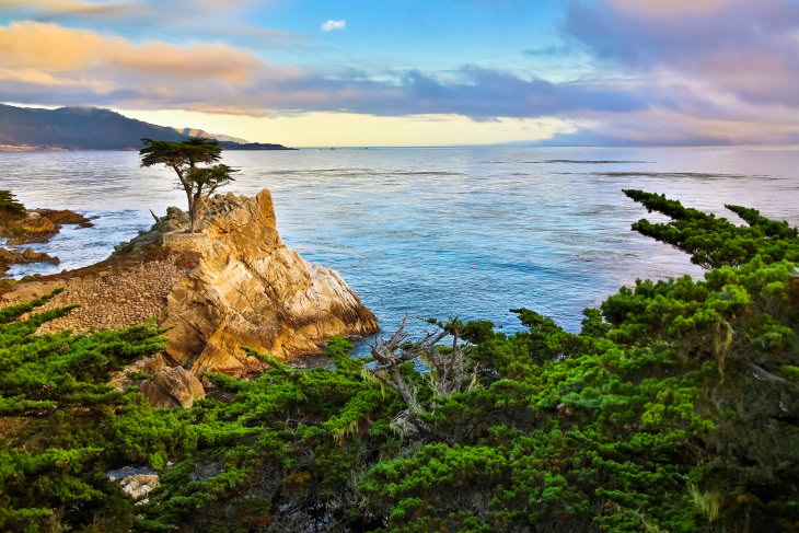 Recorridos Panorámicos En Los Estados Unidos