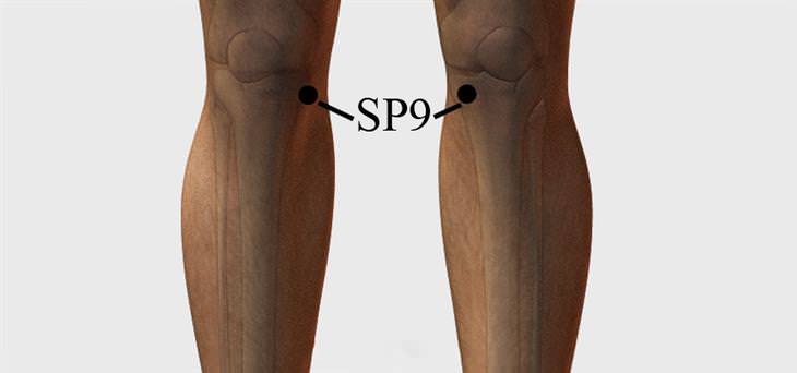 PPuntos De Presión Para El Dolor De Rodilla