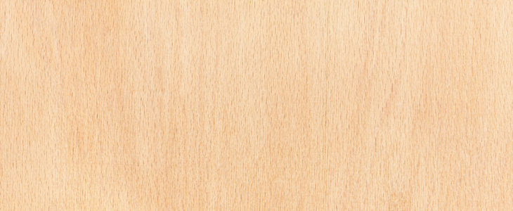 Information about wood in furniture: Beech wood