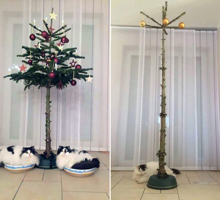 Mascotas y Árboles De Navidad