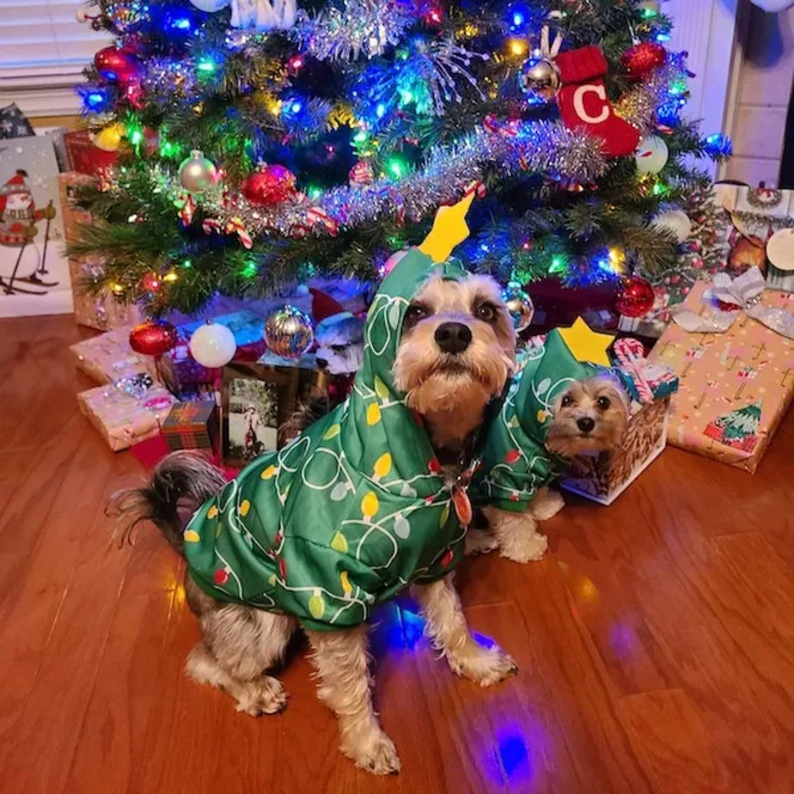 Mascotas Navideñas