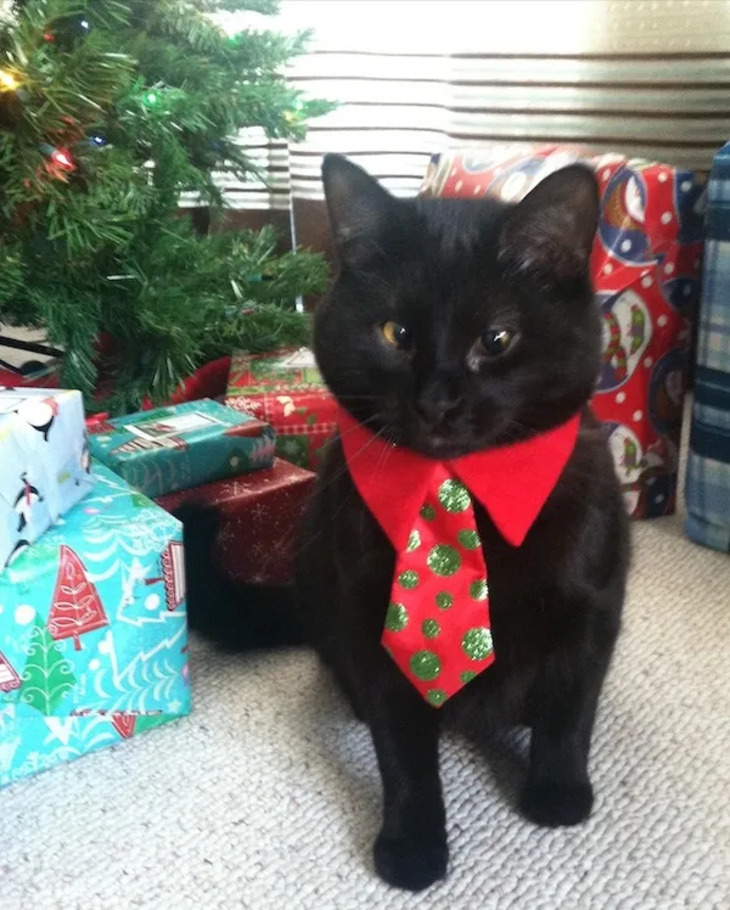 Mascotas Navideñas