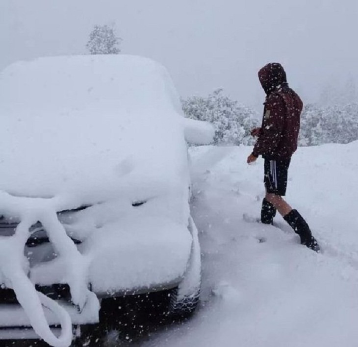 Winter Pics, shorts